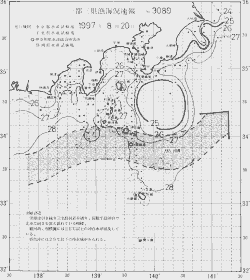 一都三県漁海況速報、関東・東海海況速報(1997/08/20)