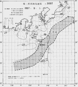 一都三県漁海況速報、関東・東海海況速報(1997/09/01)