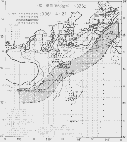 一都三県漁海況速報、関東・東海海況速報(1998/04/21)