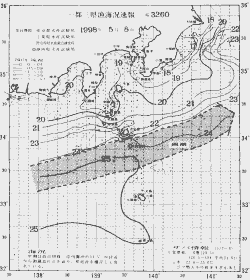 一都三県漁海況速報、関東・東海海況速報(1998/05/08)