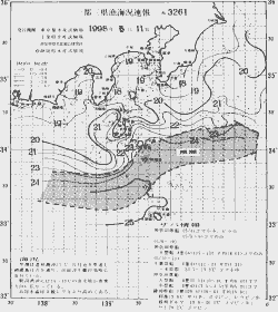 一都三県漁海況速報、関東・東海海況速報(1998/05/11)