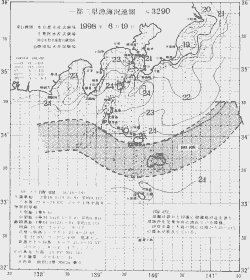 一都三県漁海況速報、関東・東海海況速報(1998/06/19)