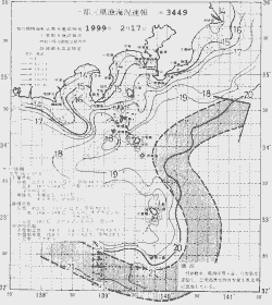 一都三県漁海況速報、関東・東海海況速報(1999/02/17)