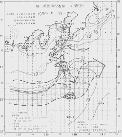 一都三県漁海況速報、関東・東海海況速報(1999/05/13)