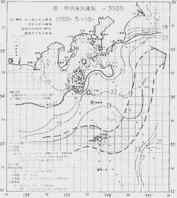 一都三県漁海況速報、関東・東海海況速報(1999/05/19)