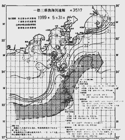 一都三県漁海況速報、関東・東海海況速報(1999/05/31)