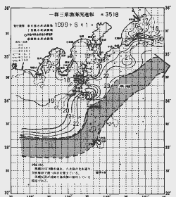 一都三県漁海況速報、関東・東海海況速報(1999/06/01)