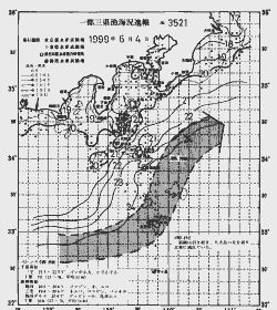 一都三県漁海況速報、関東・東海海況速報(1999/06/04)