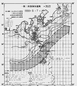 一都三県漁海況速報、関東・東海海況速報(1999/06/07)