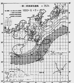一都三県漁海況速報、関東・東海海況速報(1999/06/09)
