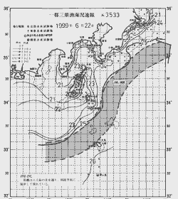 一都三県漁海況速報、関東・東海海況速報(1999/06/22)