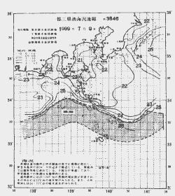 一都三県漁海況速報、関東・東海海況速報(1999/07/09)
