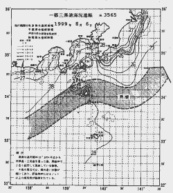 一都三県漁海況速報、関東・東海海況速報(1999/08/06)