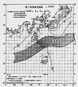 一都三県漁海況速報、関東・東海海況速報(1999/08/09)