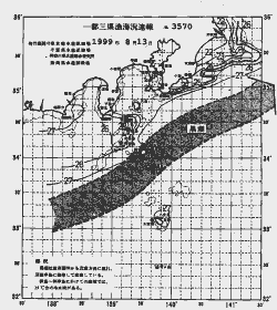 一都三県漁海況速報、関東・東海海況速報(1999/08/13)