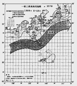 一都三県漁海況速報、関東・東海海況速報(1999/08/25)