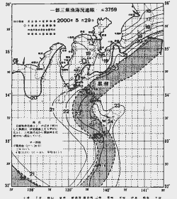 一都三県漁海況速報、関東・東海海況速報(2000/05/29)