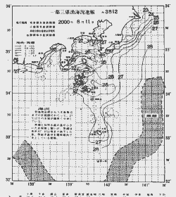 一都三県漁海況速報、関東・東海海況速報(2000/08/11)