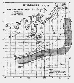 一都三県漁海況速報、関東・東海海況速報(2002/05/17)