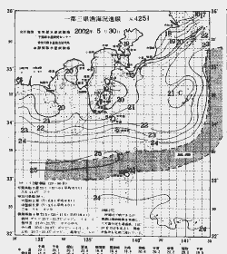 一都三県漁海況速報、関東・東海海況速報(2002/05/30)