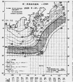 一都三県漁海況速報、関東・東海海況速報(2002/06/24)