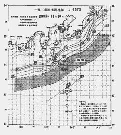 一都三県漁海況速報、関東・東海海況速報(2002/11/19)