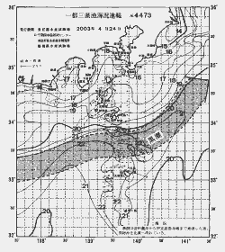 一都三県漁海況速報、関東・東海海況速報(2003/04/24)