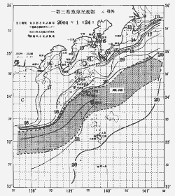 一都三県漁海況速報、関東・東海海況速報(2004/01/24)