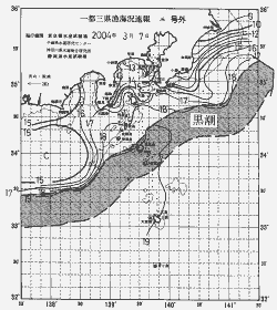 一都三県漁海況速報、関東・東海海況速報(2004/03/07)