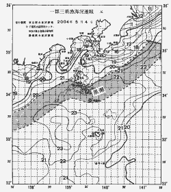 一都三県漁海況速報、関東・東海海況速報(2004/05/04)