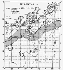 一都三県漁海況速報、関東・東海海況速報(2004/05/29)