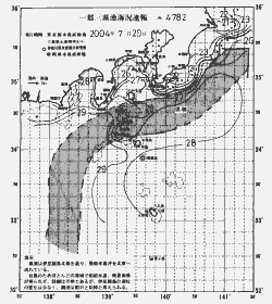 一都三県漁海況速報、関東・東海海況速報(2004/07/29)