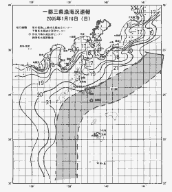一都三県漁海況速報、関東・東海海況速報(2005/01/16)