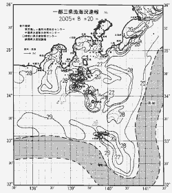 一都三県漁海況速報、関東・東海海況速報(2005/08/20)