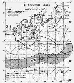 一都三県漁海況速報、関東・東海海況速報(2007/10/10)