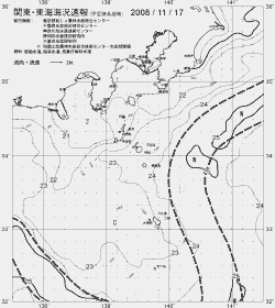 一都三県漁海況速報、関東・東海海況速報(2008/11/17)