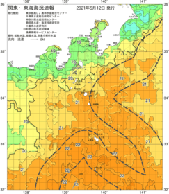 関東・東海海況速報/伊豆諸島海域(2021/05/12)