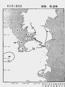 東京湾口海況図(1999/06/28)
