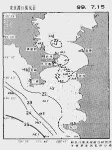 東京湾口海況図(1999/07/15)