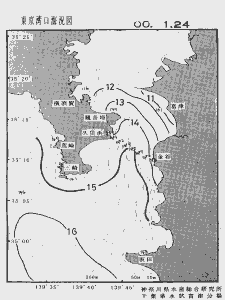 東京湾口海況図(2000/01/24)