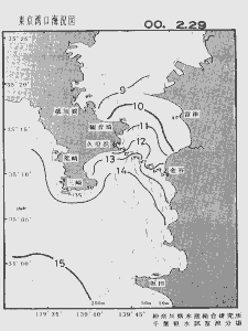 東京湾口海況図(2000/02/29)