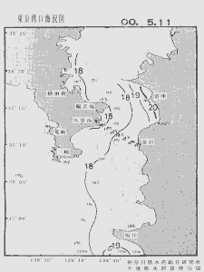 東京湾口海況図(2000/05/11)