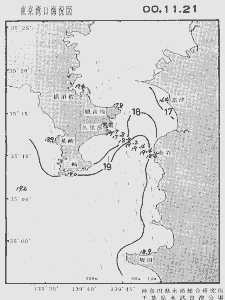 東京湾口海況図(2000/11/21)