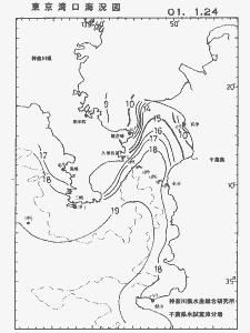 東京湾口海況図(2001/01/24)