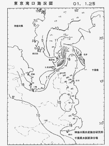 東京湾口海況図(2001/01/25)