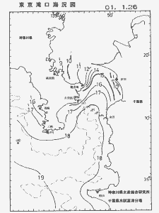 東京湾口海況図(2001/01/26)