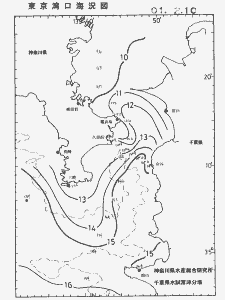 東京湾口海況図(2001/02/10)