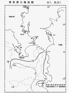 東京湾口海況図(2001/05/31)