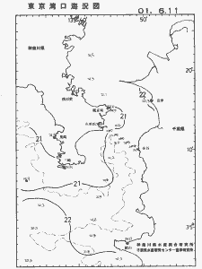 東京湾口海況図(2001/06/11)