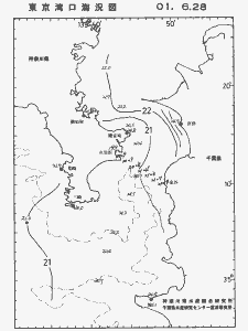 東京湾口海況図(2001/06/28)
